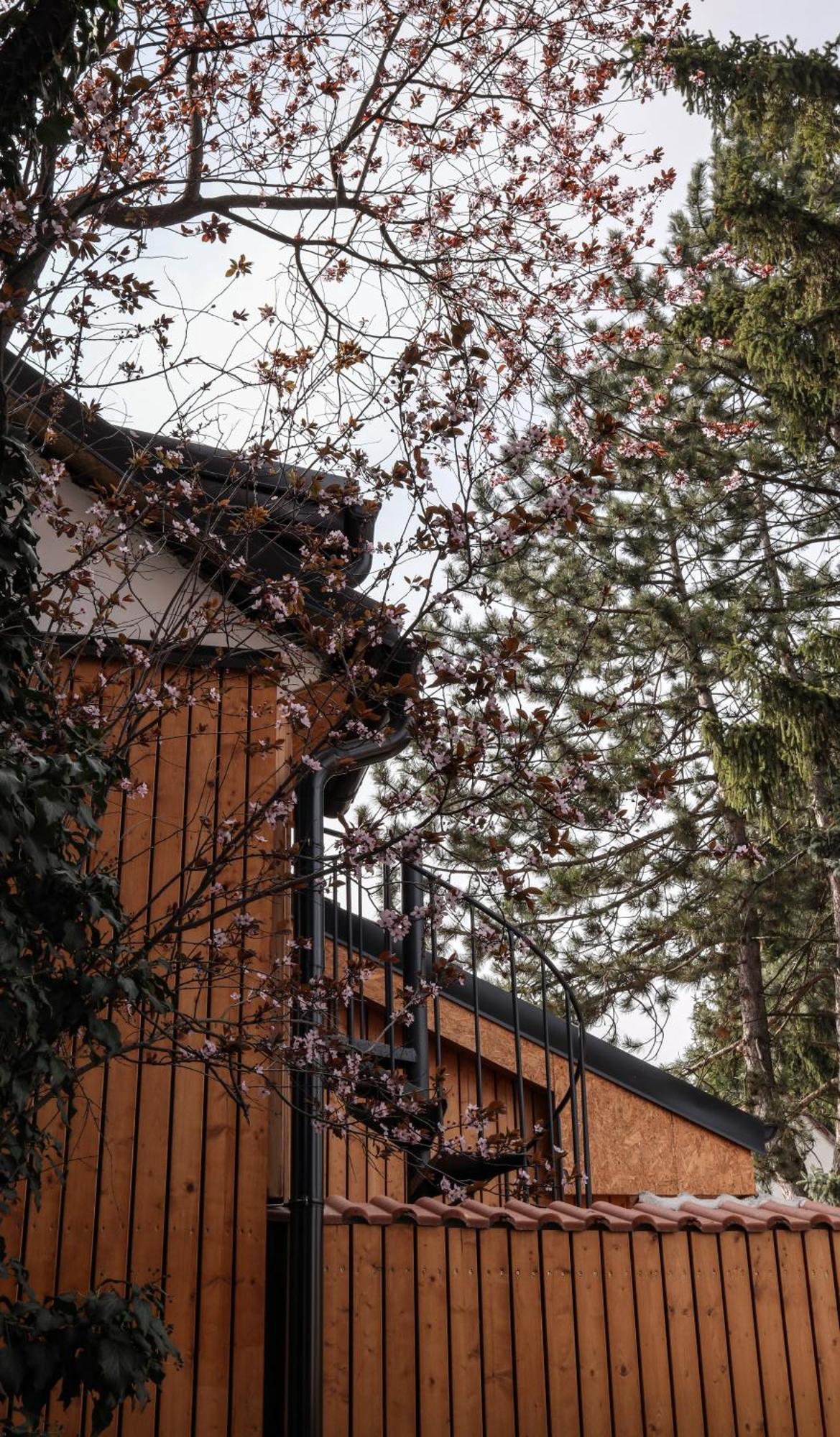 Golden Golem Hotel & Spa Prag Dış mekan fotoğraf